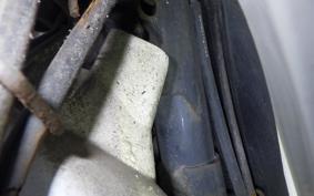 HONDA BENLY 50 AA03