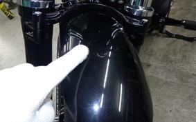 HARLEY XL1200X 2020