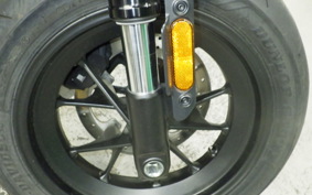 HARLEY RH1250S 2024