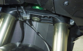 KAWASAKI ZH2 SE 2023 ZRT00K