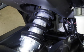 TRIUMPH TRIDENT 660 2025