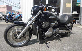 HARLEY NIGHT ROD VRSCD 2006 HDZ