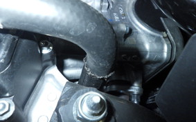 HONDA FORZA 250 2001 MF17