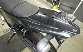 YAMAHA WR250X 2023 DG15J