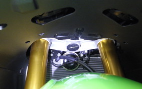 KAWASAKI NINJA ZX-6R A 2025 ZX636J