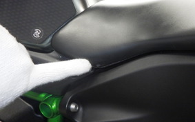 KAWASAKI NINJA H2 CARBON 2021 ZXT02J