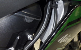 KAWASAKI NINJA 1000SX 2024 ZXT02K