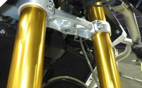 TRIUMPH TIGER 900 RALLY PRO 2022
