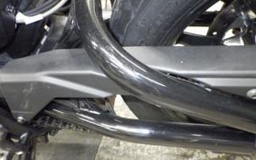 INDIAN FTR1200 2019