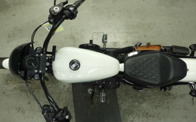 HARLEY XL1200NS 2019