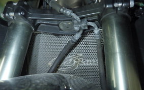 KAWASAKI NINJA 1000 2012