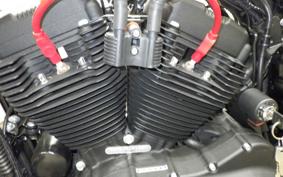 HARLEY XL1200NS 2018