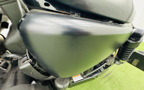 HARLEY XL883N 2010 LE2