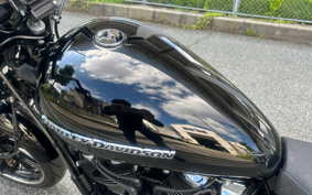 HARLEY FXBRS 2019 YHK