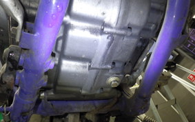 YAMAHA TT250R 2009 4GY