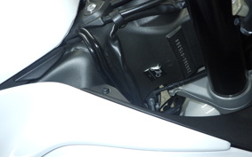 KAWASAKI NINJA ZX-6R A 2021 ZX636G