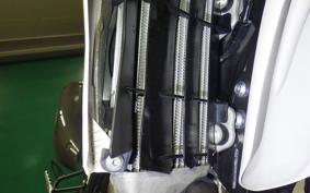 YAMAHA WR250X DG15J