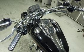 HARLEY FXDL 1580 2007