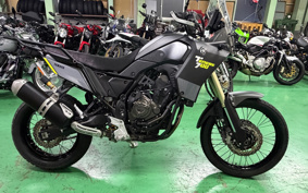 YAMAHA TENERE 700 2020 DM09J