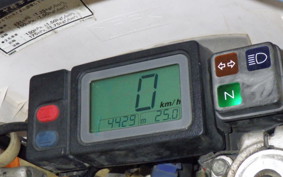 YAMAHA TT250R 4GY