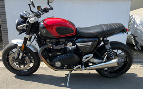 TRIUMPH SPEED TWIN 2024 DAD85H