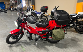 KAWASAKI NINJA 1000SX 2024 ZXT02K