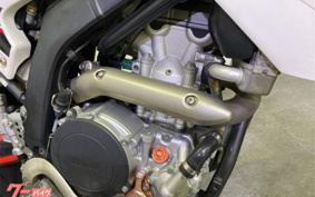 YAMAHA WR250X DG15J