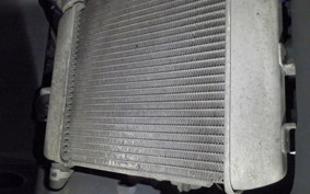SUZUKI GSX-R125 2025 DL33B