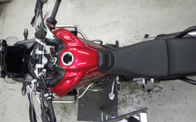 TRIUMPH TIGER 900 GT PRO 2025