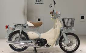 HONDA LITTLE CUB AA01