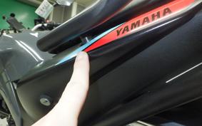 YAMAHA MT-25 A 2010 RG43J