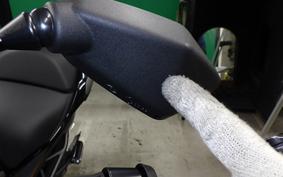 KAWASAKI VERSYS 1100 SE 2026 LZT10C