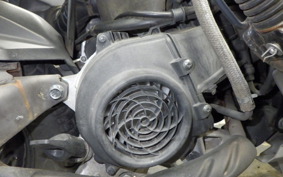 HONDA NAVI110 2025