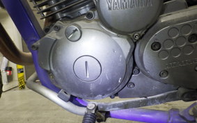 YAMAHA TT250R 2009 4GY