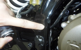 HUSQVARNA SVARTPILEN 250 2013