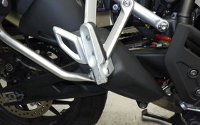 TRIUMPH TIGER 900 GT PRO 2020