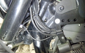 HARLEY XL883N 2015