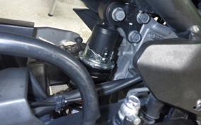 KAWASAKI NINJA 250 2 2009 EX250P