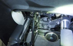 KAWASAKI NINJA 250 ABS 2020 EX250L