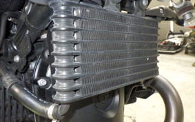 BMW R NINE T SCRAMBLER 2020