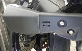 KAWASAKI ZX 10 NINJA R 2015