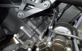 YAMAHA XSR900 GP 2025 RN96J