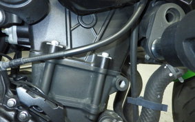 KAWASAKI Z400 Gen.2 2019 EX400G