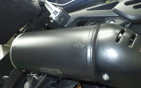 DUCATI SCRAMBLER 2024
