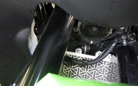 KAWASAKI ZX-4RR 2025 ZX400P