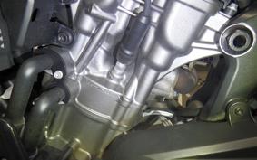 HARLEY PAN AMERICA 1250 2021