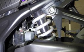 YAMAHA YZF-R25 A RG43J