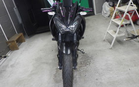 KAWASAKI Z250 A ER250C