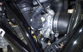 DUCATI GT1000 2011