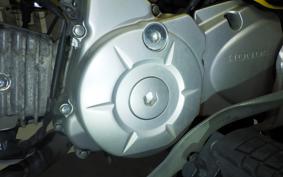 HONDA CROSS CUB 110 JA45